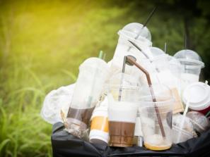 „Vasara be plastiko“ – higienos terapija mūsų šiukšliadėžei ir visai Žemei